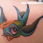 Blue Bird Tattoo by Joe Capobianco