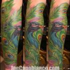 Peacock Tattoo by Joe Capobianco